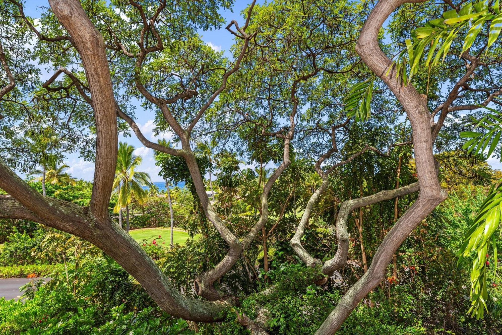 קאילואה-קונה "Makani Moana" At Keauhou Resort #104, Entire Townhome Close To Kona מראה חיצוני תמונה